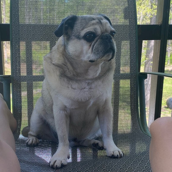 Shop for Igor - Picture 3 of 4